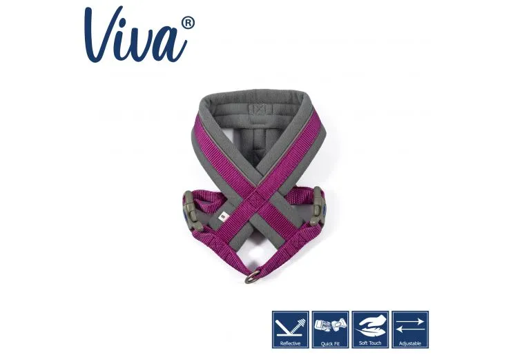 Ancol - Viva Nylon Padded Harness - Cyan - Medium (41-53cm)