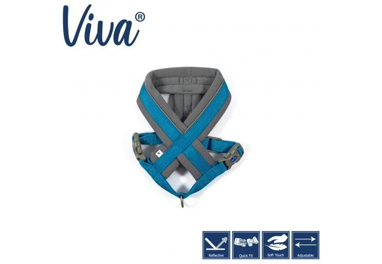 Ancol - Viva Nylon Padded Harness - Cyan - Medium (41-53cm)