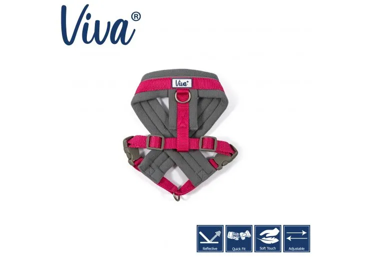 Ancol - Viva Nylon Padded Harness - Cyan - Medium (41-53cm)