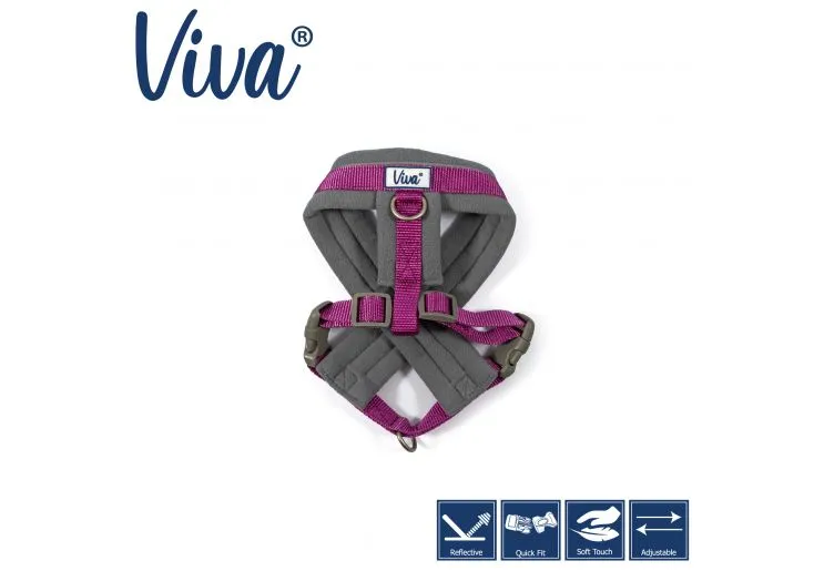 Ancol - Viva Nylon Padded Harness - Cyan - Medium (41-53cm)