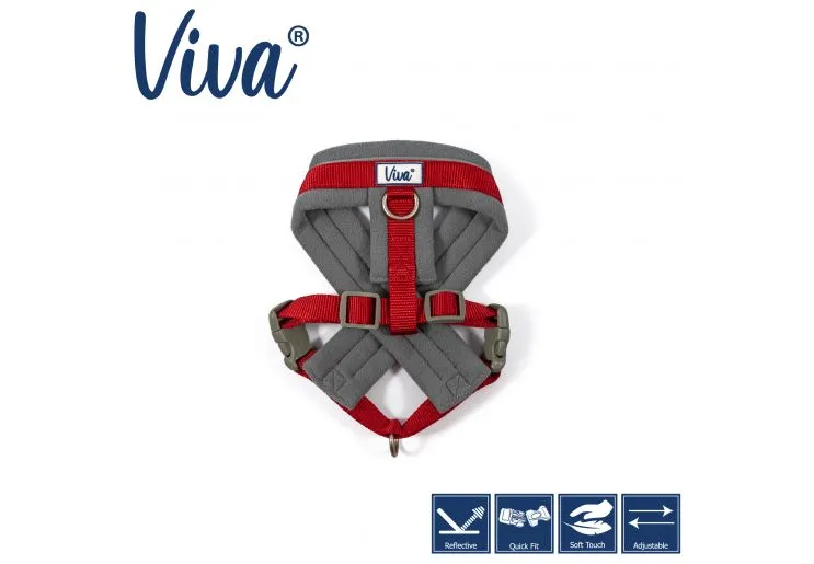 Ancol - Viva Nylon Padded Harness - Cyan - Medium (41-53cm)