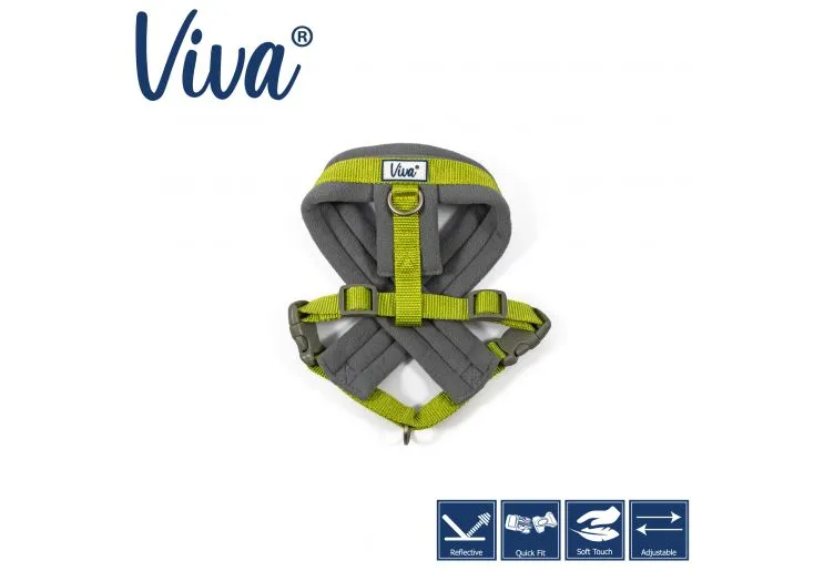 Ancol - Viva Nylon Padded Harness - Cyan - Medium (41-53cm)